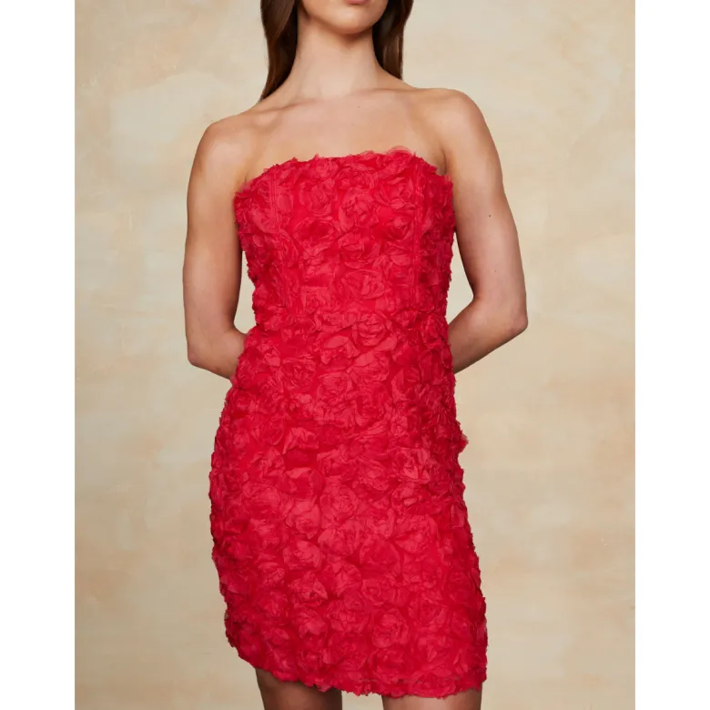 3D Floral Mini Dress in Red