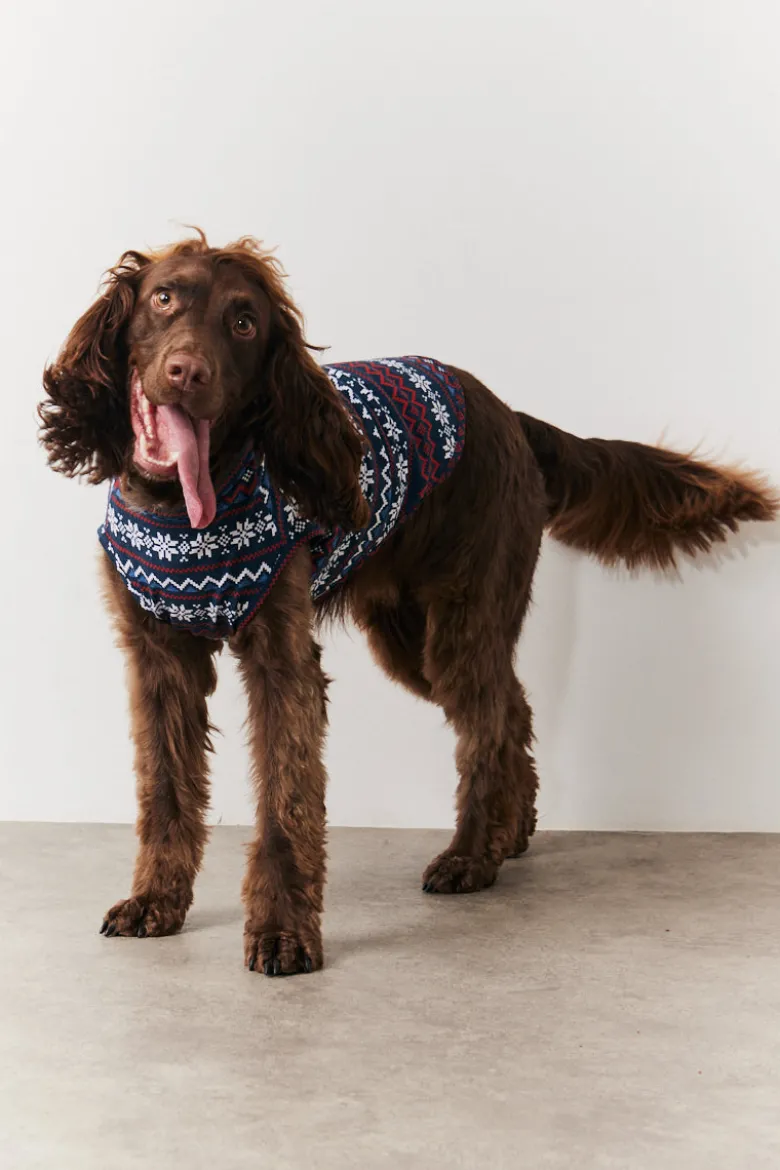 Dog Snowflake Print Pyjama