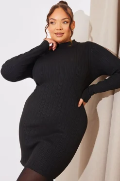 High Neck Variegated Rib Knit Mini Dress