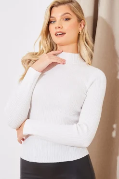 High Neck Variegated Rib Knit Top