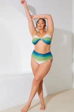 Ombre High Waisted Bikini Bottoms