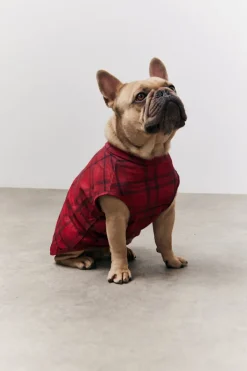 Red Checked Matching Dog Coat