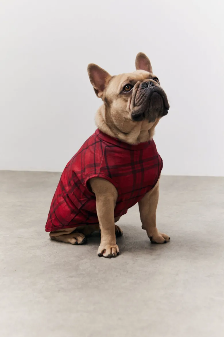 Red Checked Matching Dog Coat