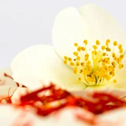 Saffron Luxe - Inspired by Baccarat Rouge 540